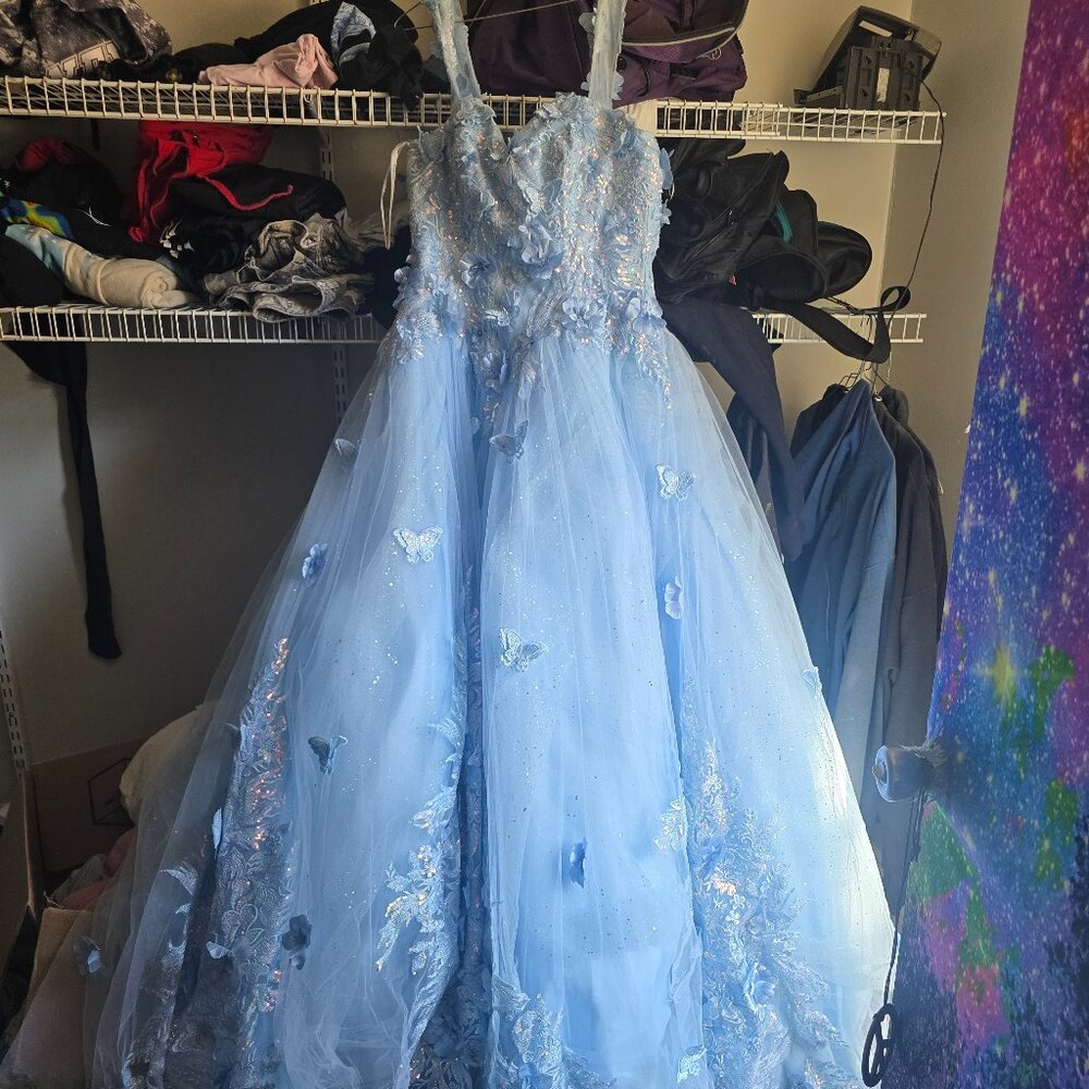 A beautiful ladivine ball gown/ quinceneara gown